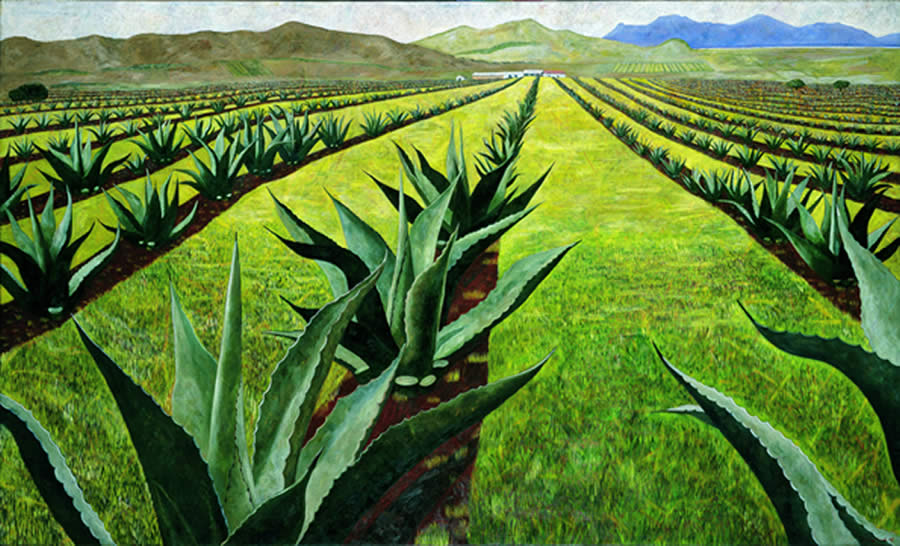 Pedro Diego Alvarado