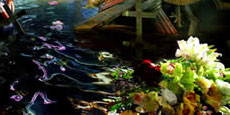 LaChapelle