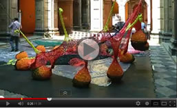 video Ernesto Neto