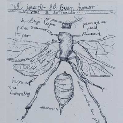 El arte de comer insectos